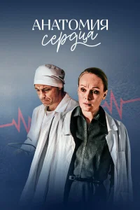 Анатомия сердца Анатомия сердца