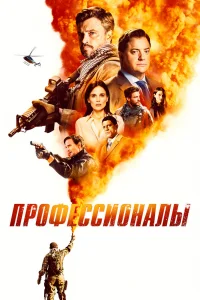 Профессионалы Профессионалы
