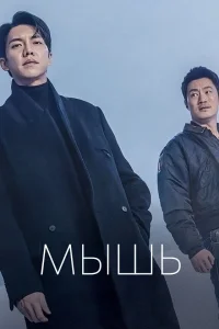 Мышь Мышь