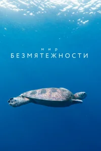 Мир безмятежности Мир безмятежности