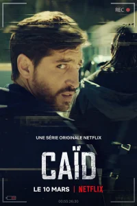 Дилер Дилер