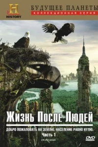 Жизнь после людей Жизнь после людей