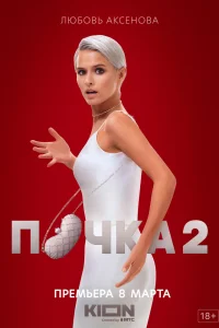 Почка Почка