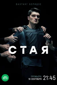 Стая Стая