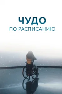 Чудо по расписанию Чудо по расписанию
